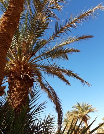 Partir au Maroc en 2020 : découvrir, explorer, s’offrir des moments pour soi !