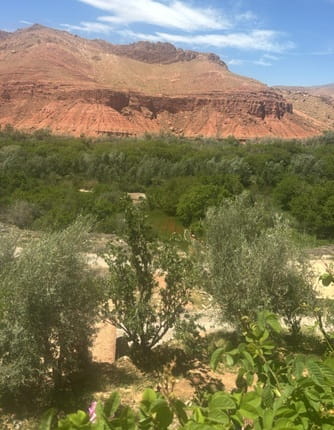 vallée des roses Maroc