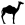dromadaire