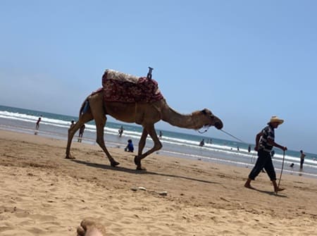 Agadir
