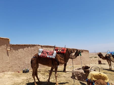 Agafay