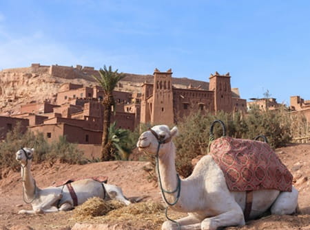Excursion Marrakech Ouarzazate Aït Ben Haddou