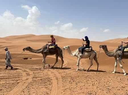 excursion erg chegaga dromadaires
