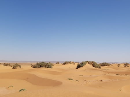 Marrakech M'hamid 2 jours