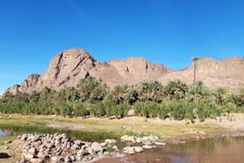 Oasis de Fint 