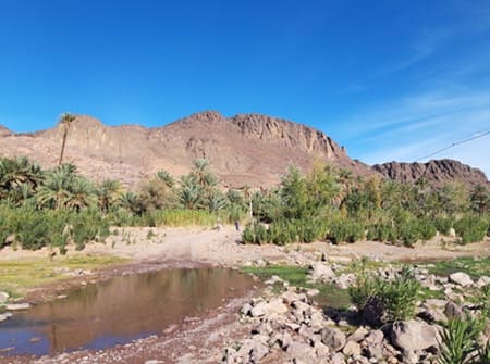 Oasis de Fint