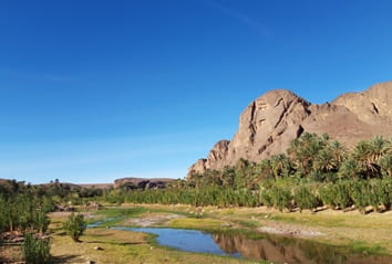 Oasis de Fint