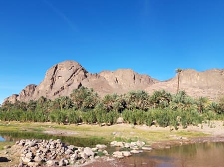 Oasis de Fint