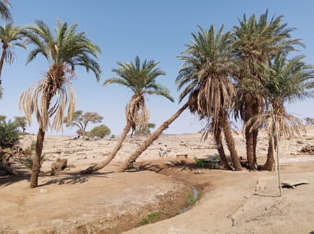 Oasis sacrée