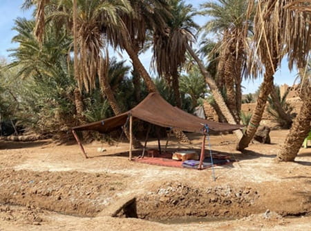 Oasis sacrée