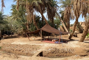 Oasis sacrée