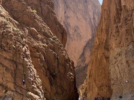 Excursion Ouarzazate Gorges du Todra