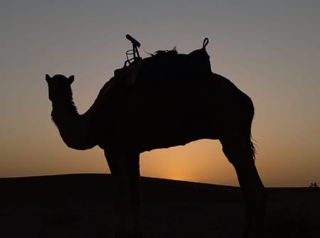 trek desert maroc