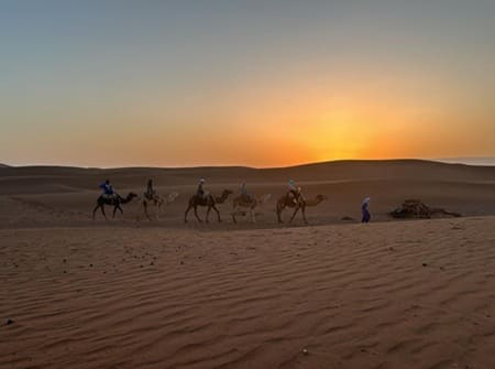 dromadaires erg chegaga coucher de soleil