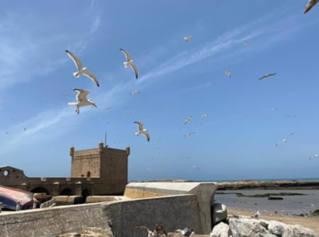 Essaouira