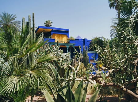 jardin majorelle marrakech