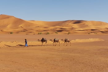 merzouga