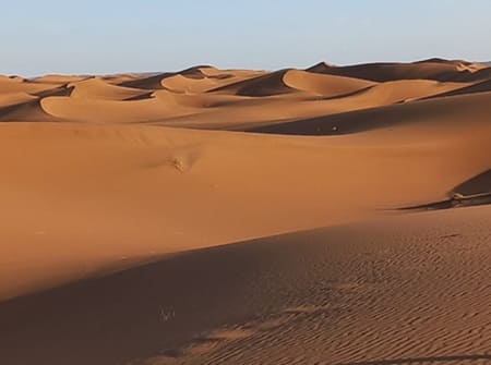 Sahara Maroc