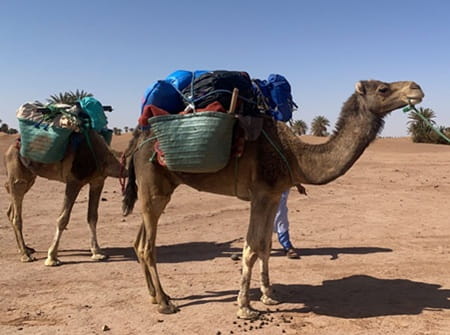trek desert Maroc