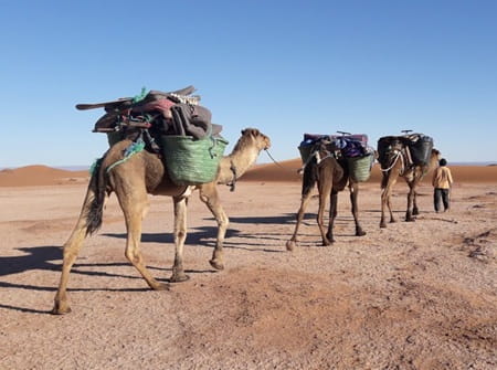 trek desert Maroc