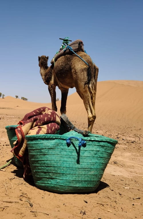 trek desert Maroc