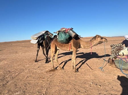 trek desert maroc