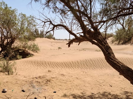trek desert maroc