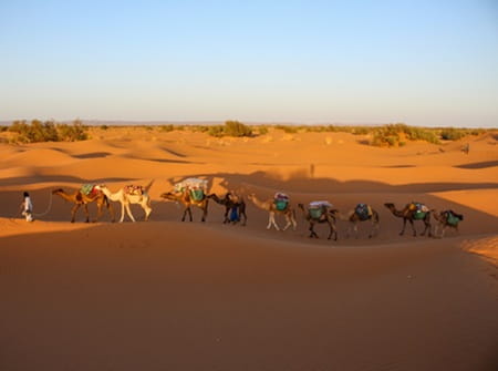 trek desert maroc