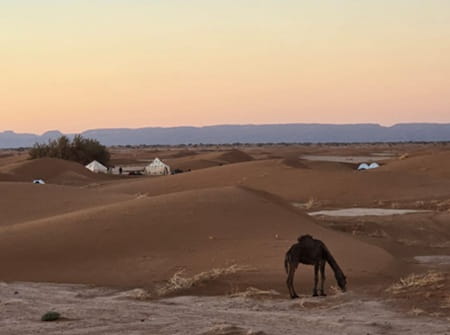 trek désert Maroc
