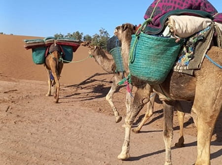 maroc