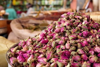roses Maroc