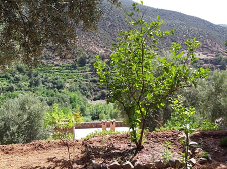 montagnes de l'Atlas, Maroc