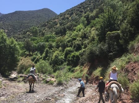 Trek Haut Atlas Maroc