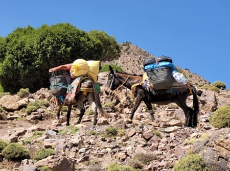 Randonnée Atlas Maroc