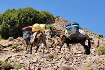 trek Atlas Maroc 