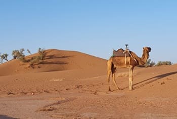 Trek Sahara Maroc