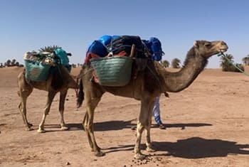 rando trek désert marocain
