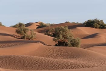 trek désert Maroc 
M'hamid 