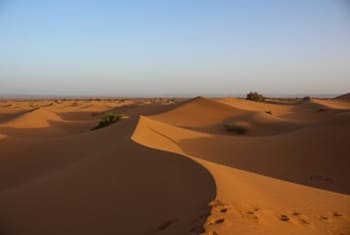 trek désert marocain