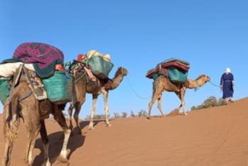 randonnée Sahara Maroc