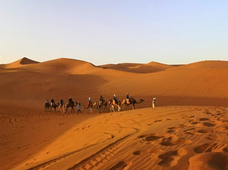 desert merzouga tour en dromadaires