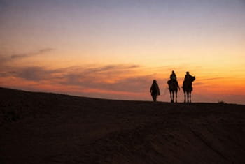 dromadaires merzouga sunset