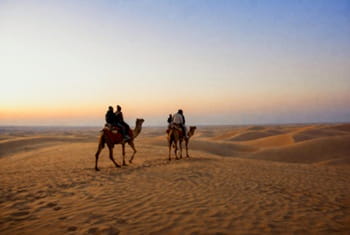 dromadaires Merzouga