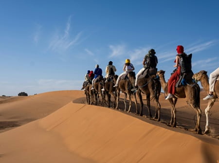 merzouga dromadaires