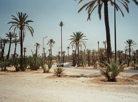 palm grove marrakech