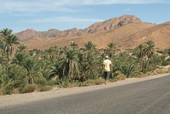 vallee du draa Maroc 