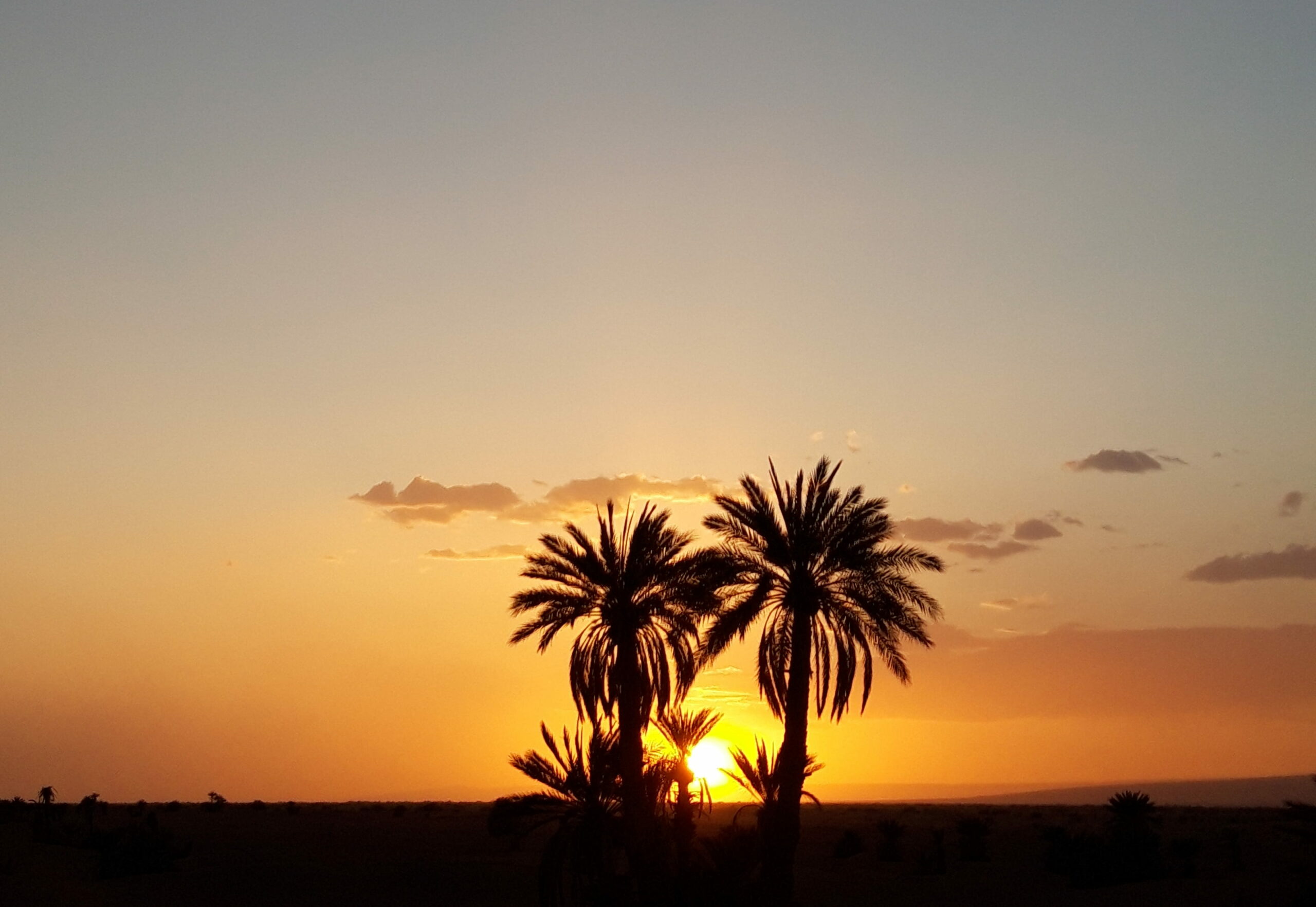 Excursion désert Maroc