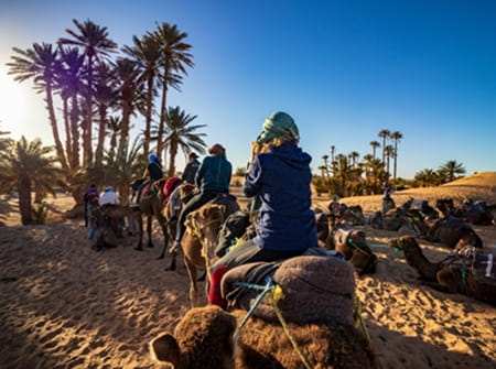 incentive marrakech