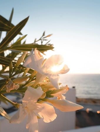maroc côte atlantique 