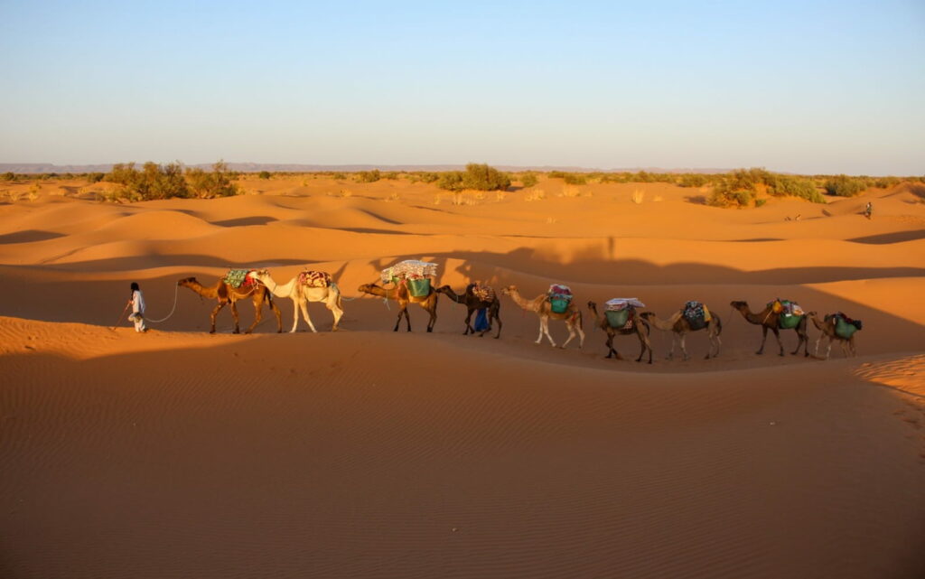 trek désert marocain